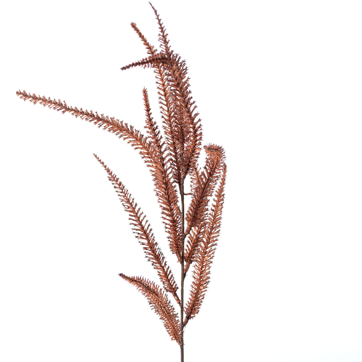 20" Lavender Spike Bush: Brown (7 Stem) detail photo 4