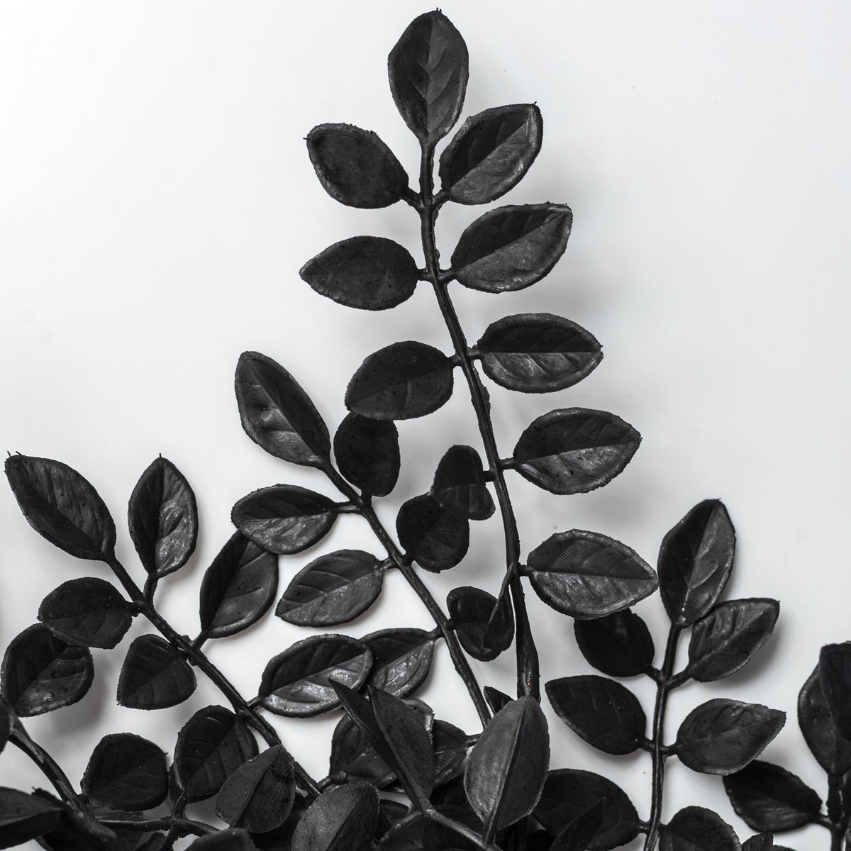 20" Plastic Wisteria Leaves Bush: Black (7 Stem) Lifestyle Photo