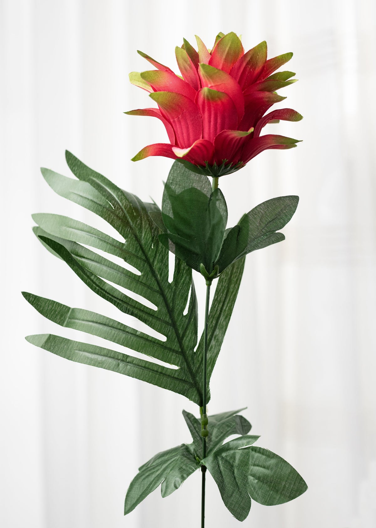 20" Protea Lotus Bush: Fuchsia & Yellow (18 Stem) detail photo 5