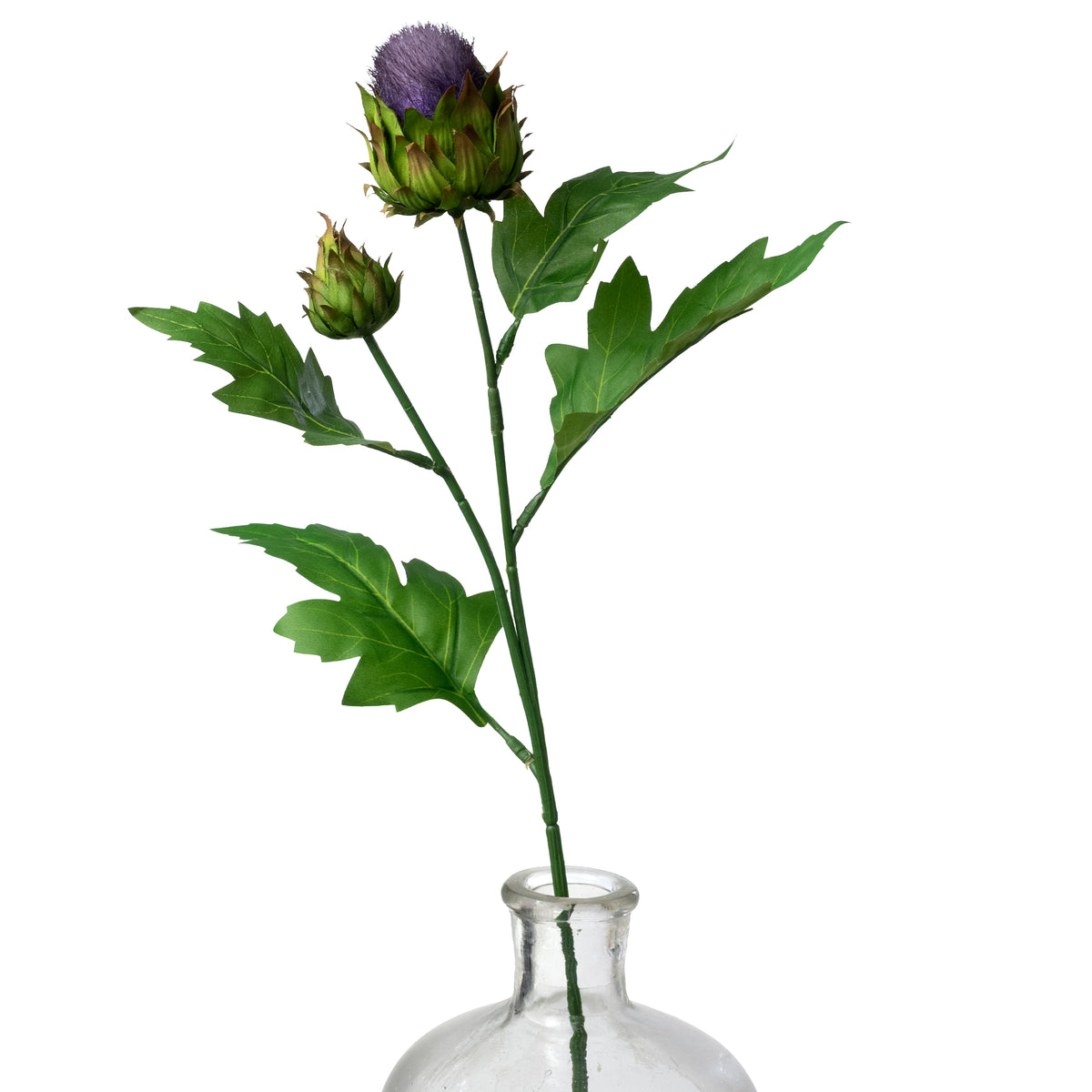 20" Thistle Stem: Purple Item Number: 273546