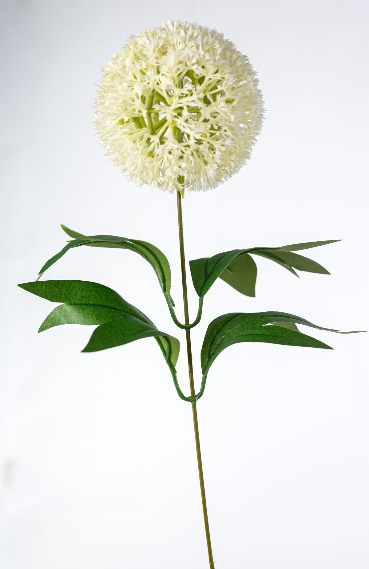 21" Ball Hydrangea & Fern Bush: Cream (12 Stem) detail photo 5