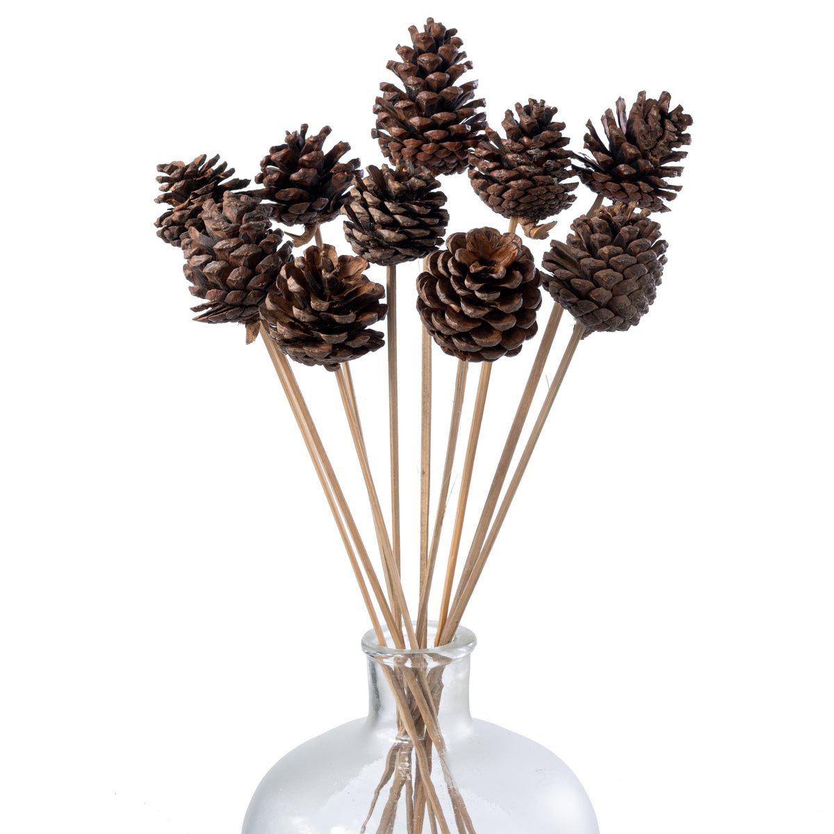21" Medium Pinecones on Bamboo Picks (Pack of 10) Item Number: XD1412