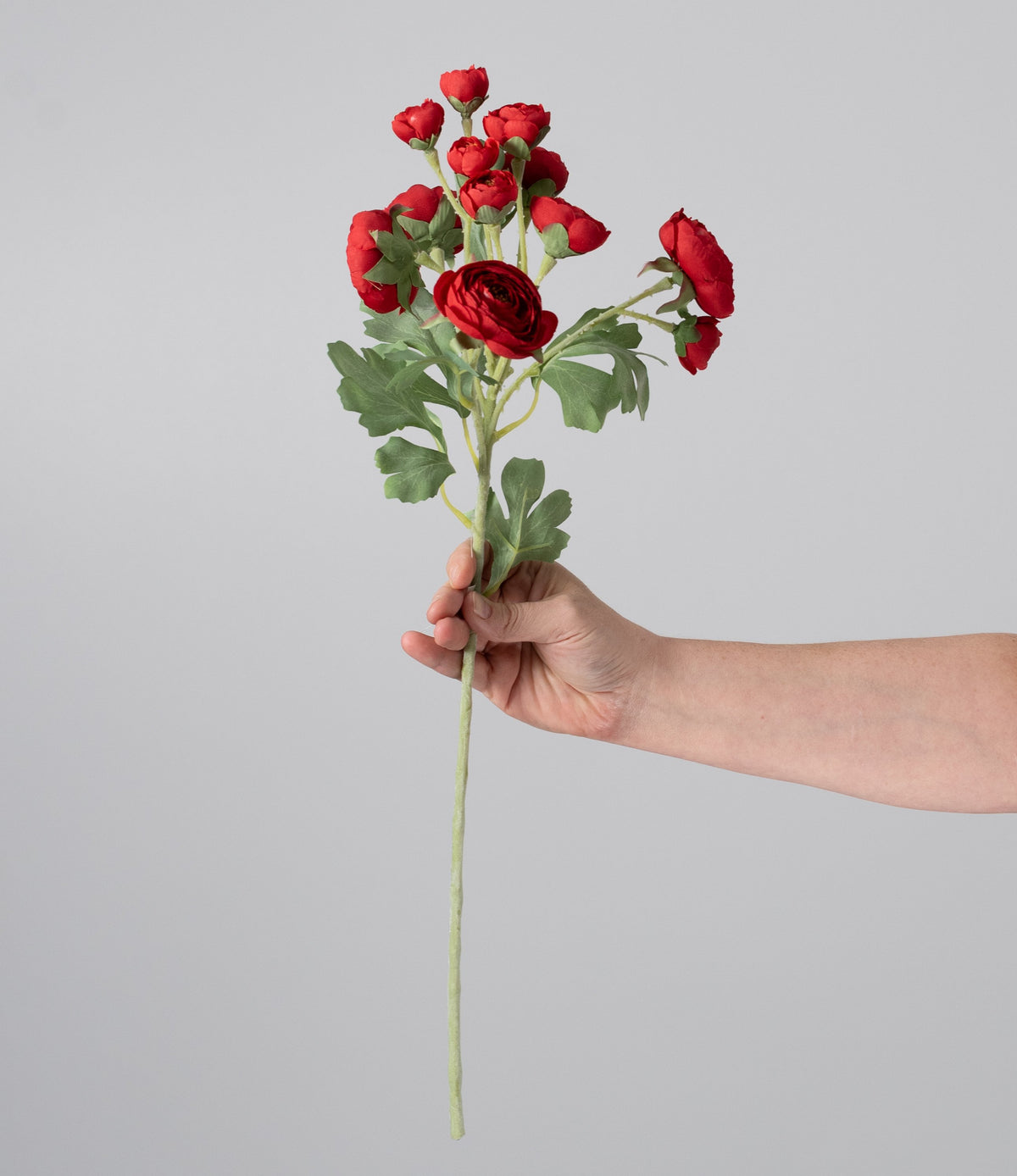 21" Ranunculus Spray: Red detail photo 3