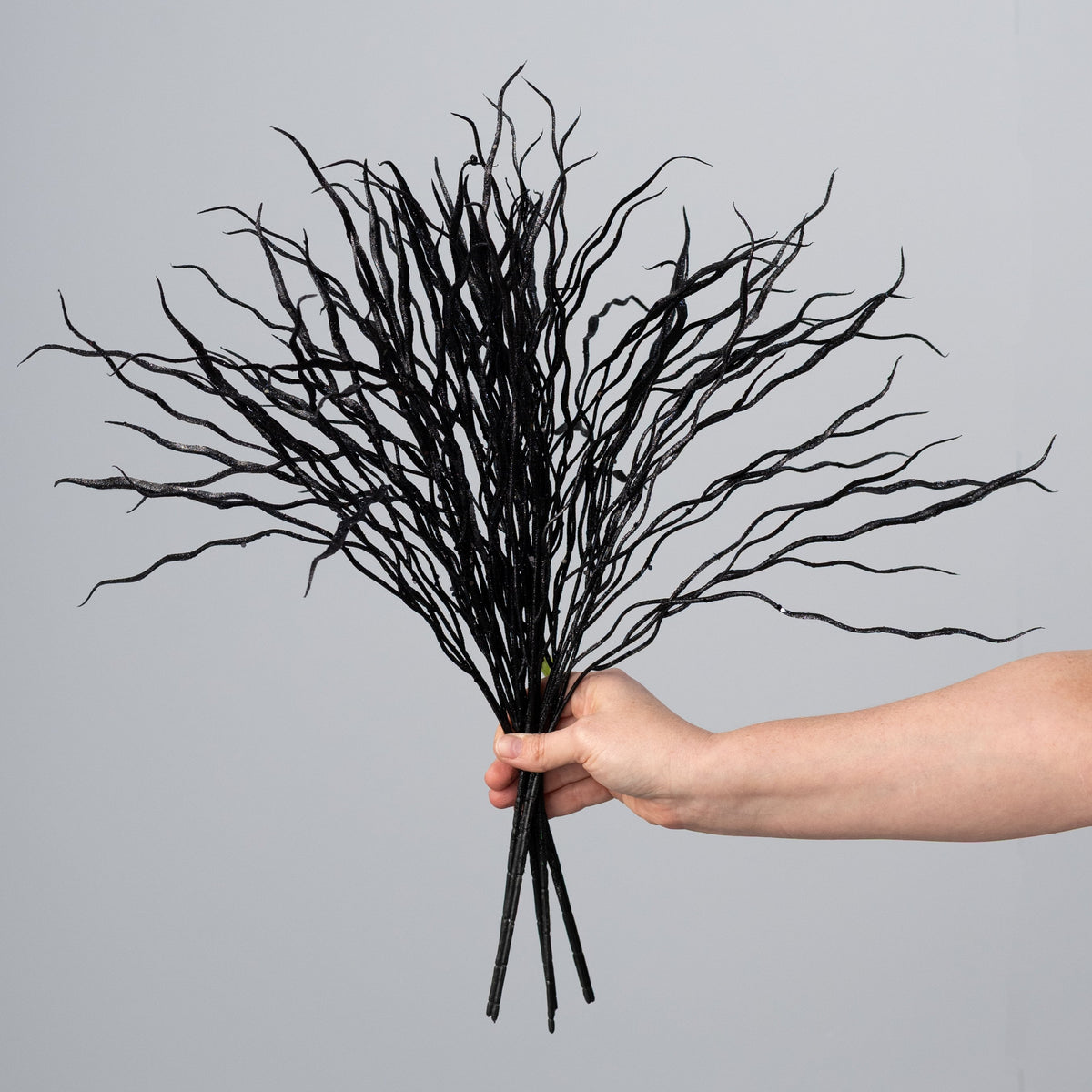 21" Twig Broom Bundle: Black (8 Stem) detail photo 3