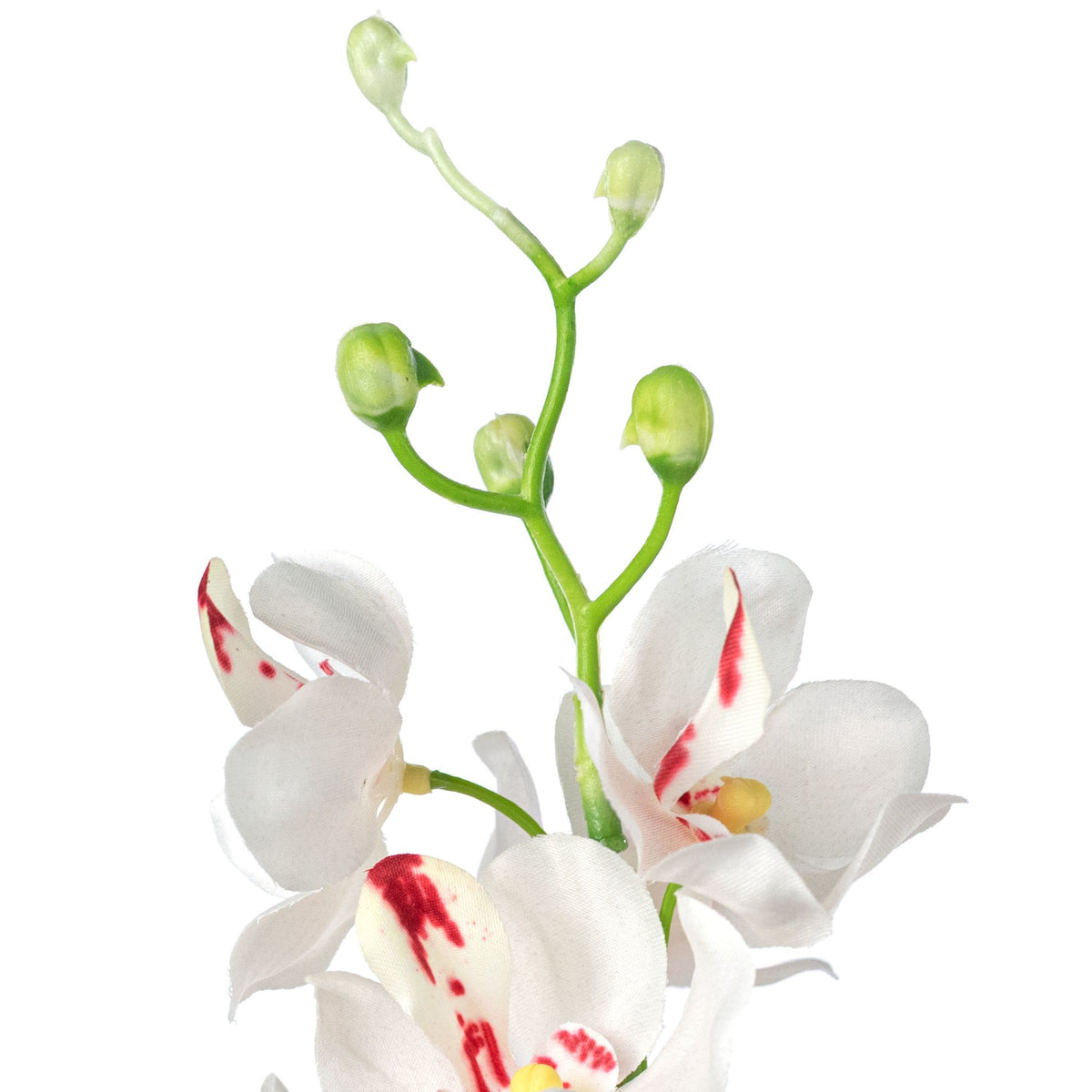 22" Mokara Orchid Stem: Cream White detail photo 4