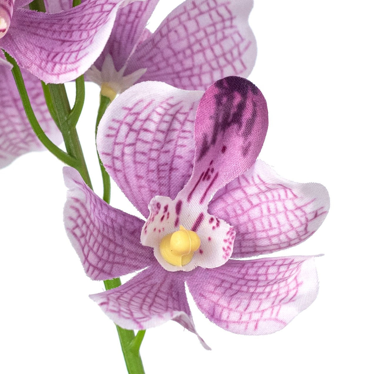 22" Mokara Orchid Stem: Purple Lifestyle Photo