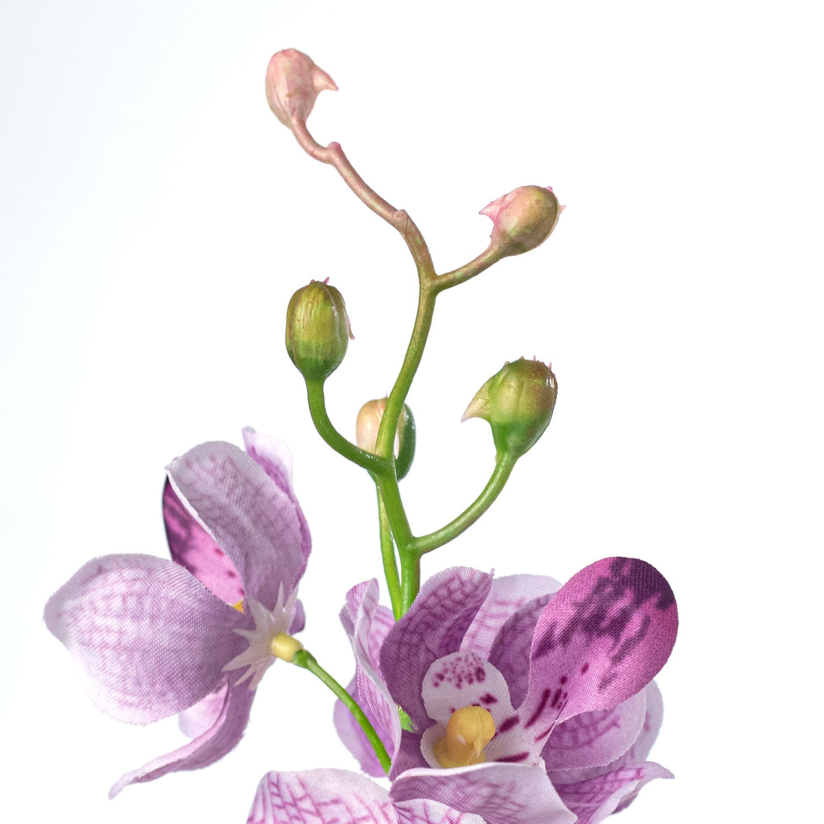 22" Mokara Orchid Stem: Purple detail photo 4