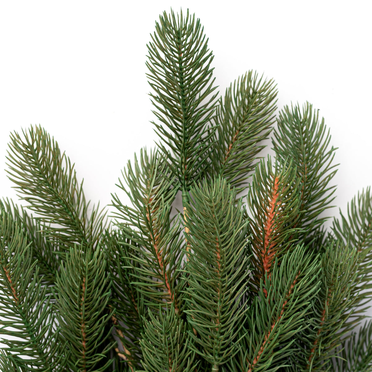 22" Soft Touch Noble Pine Bush: Evergreen Lifestyle Photo