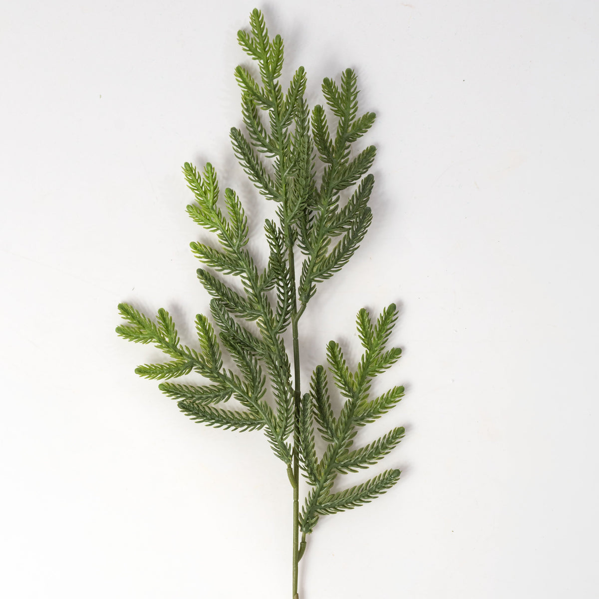 23" Soft Touch Norfolk Pine Spray: Two Tone Dark Green detail photo 4
