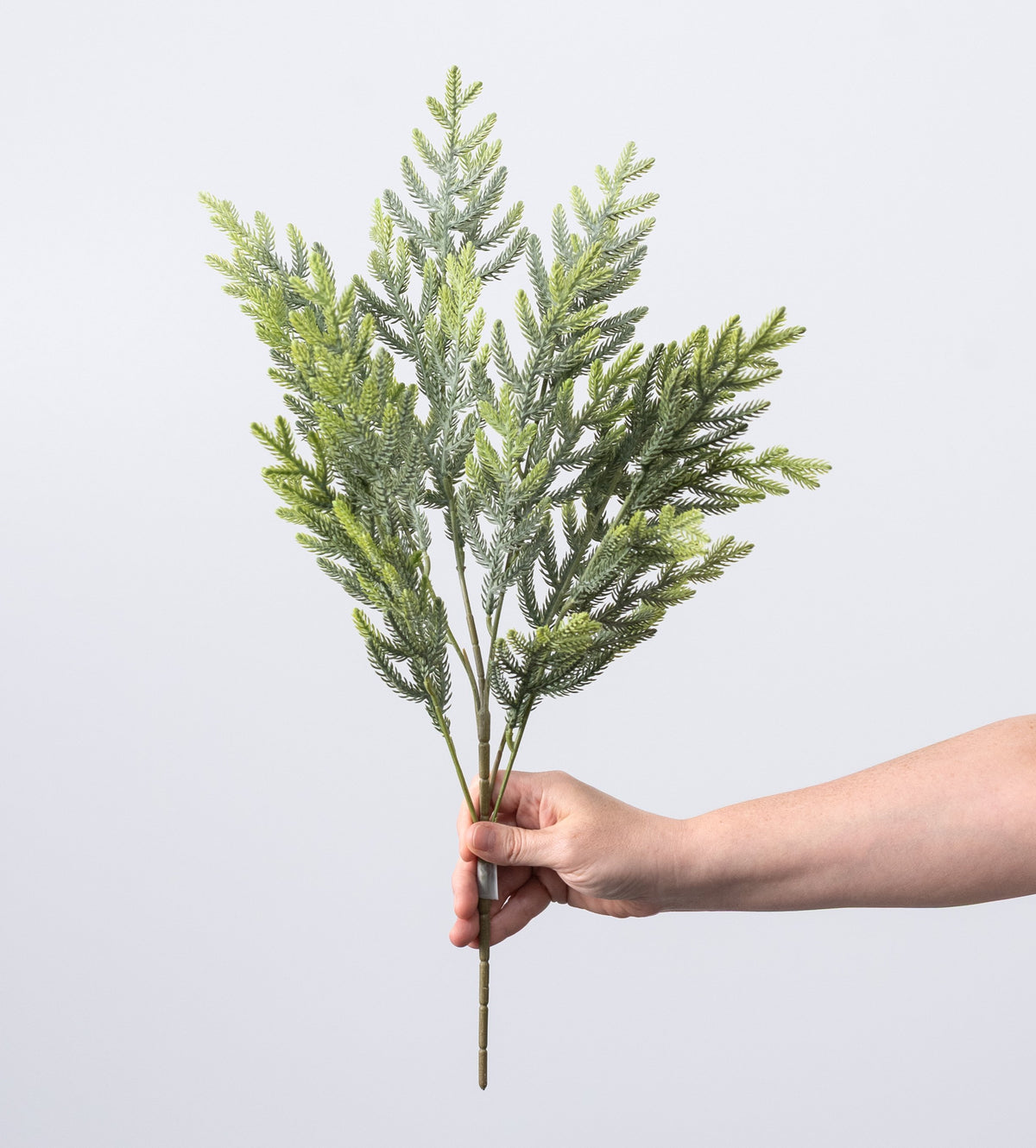 23" Soft Touch Norfolk Pine Spray: Two Tone Light Green detail photo 3