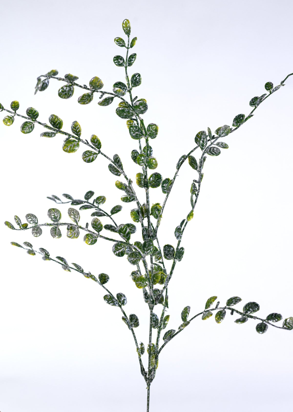24" Flat Boxwood Box: Glitter Iced Green detail photo 4