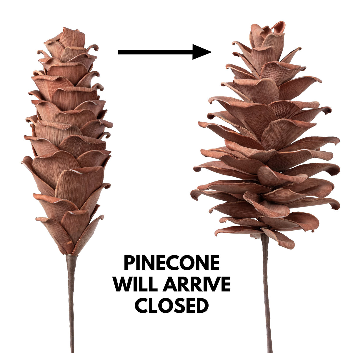 24" Jumbo Foam Pinecone Pick: Mocha Brown detail photo 4