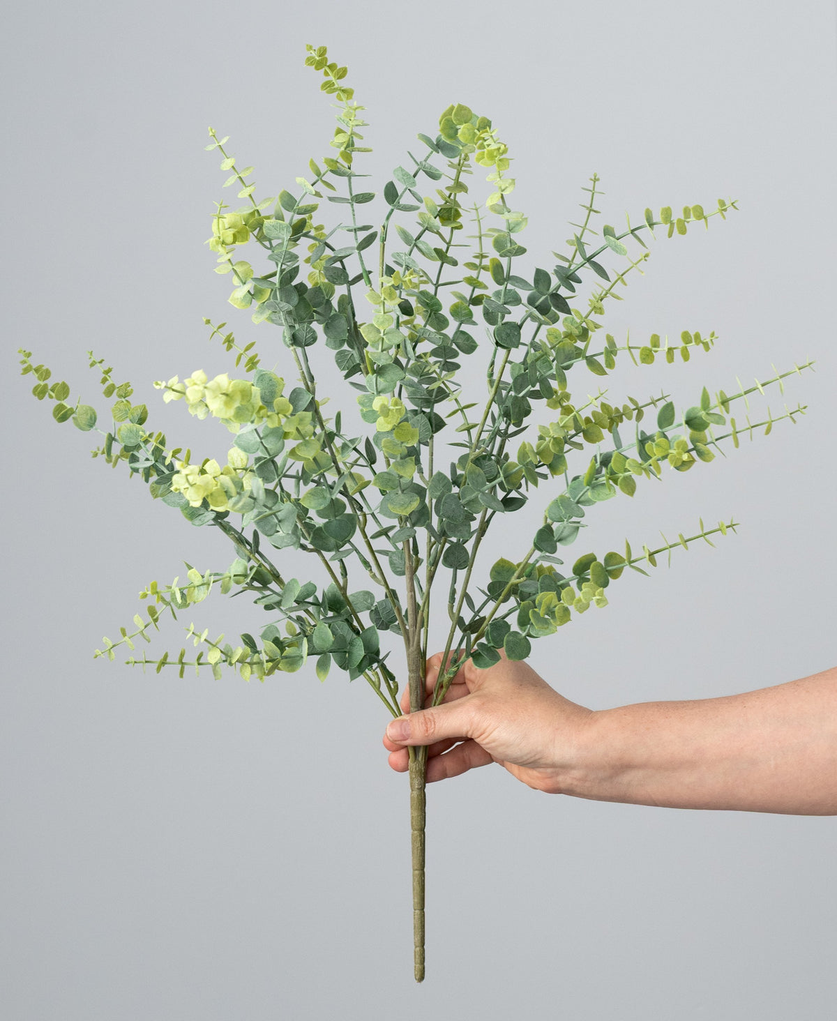 24" Plastic Eucalyptus Bush: Light Two-Tone Green detail photo 3