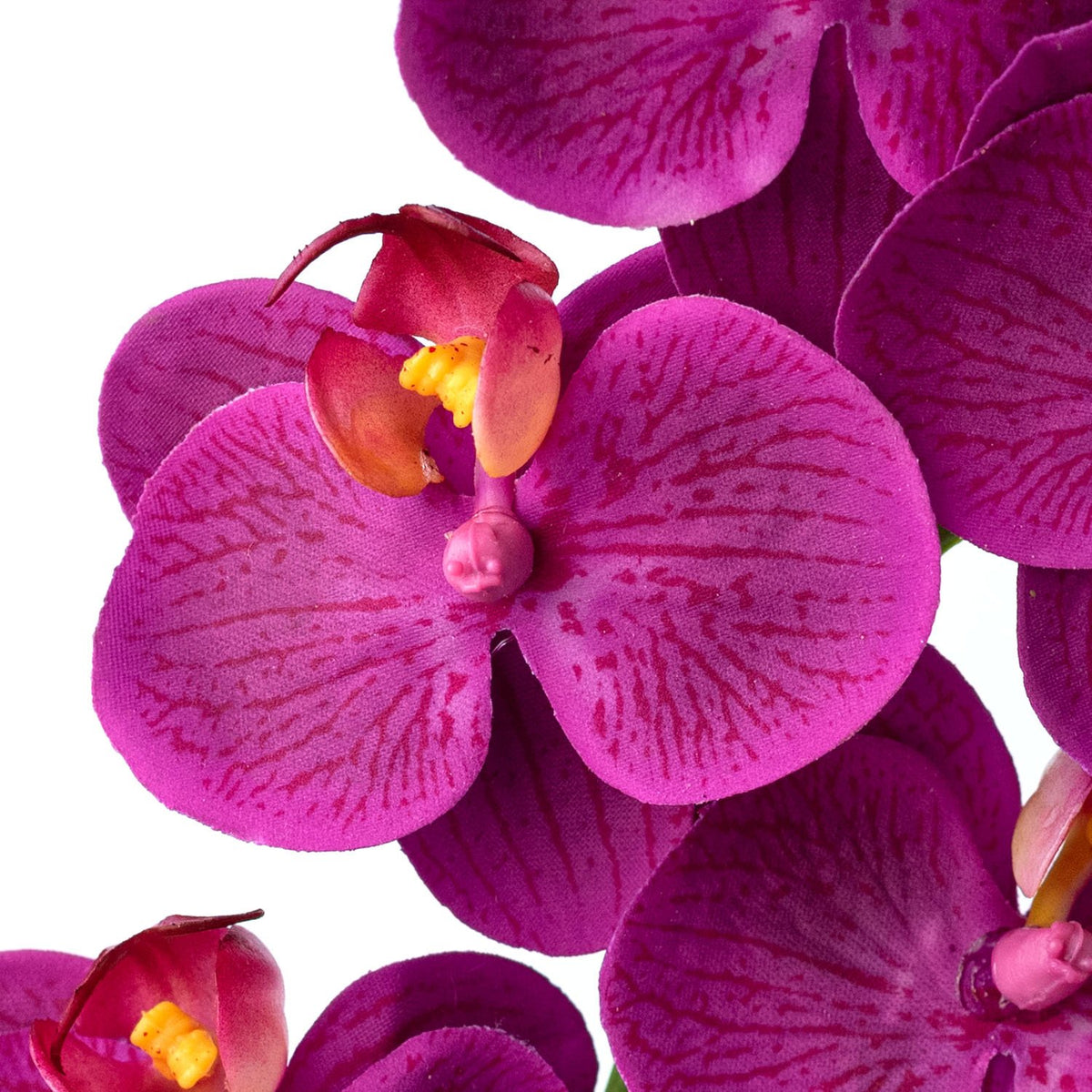 24" Real Touch Phalaenopsis Orchid Stem: Fuchsia Lifestyle Photo