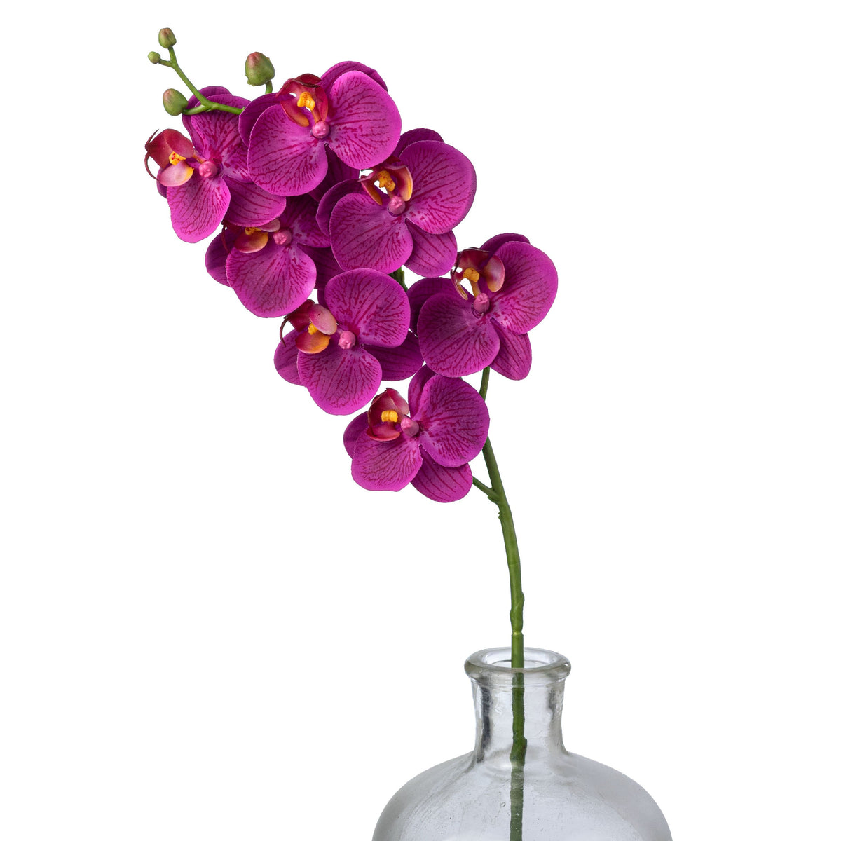 24" Real Touch Phalaenopsis Orchid Stem: Fuchsia Item Number: 2230094FU