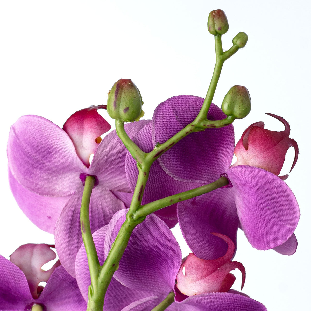 24" Real Touch Phalaenopsis Orchid Stem: Fuchsia detail photo 4