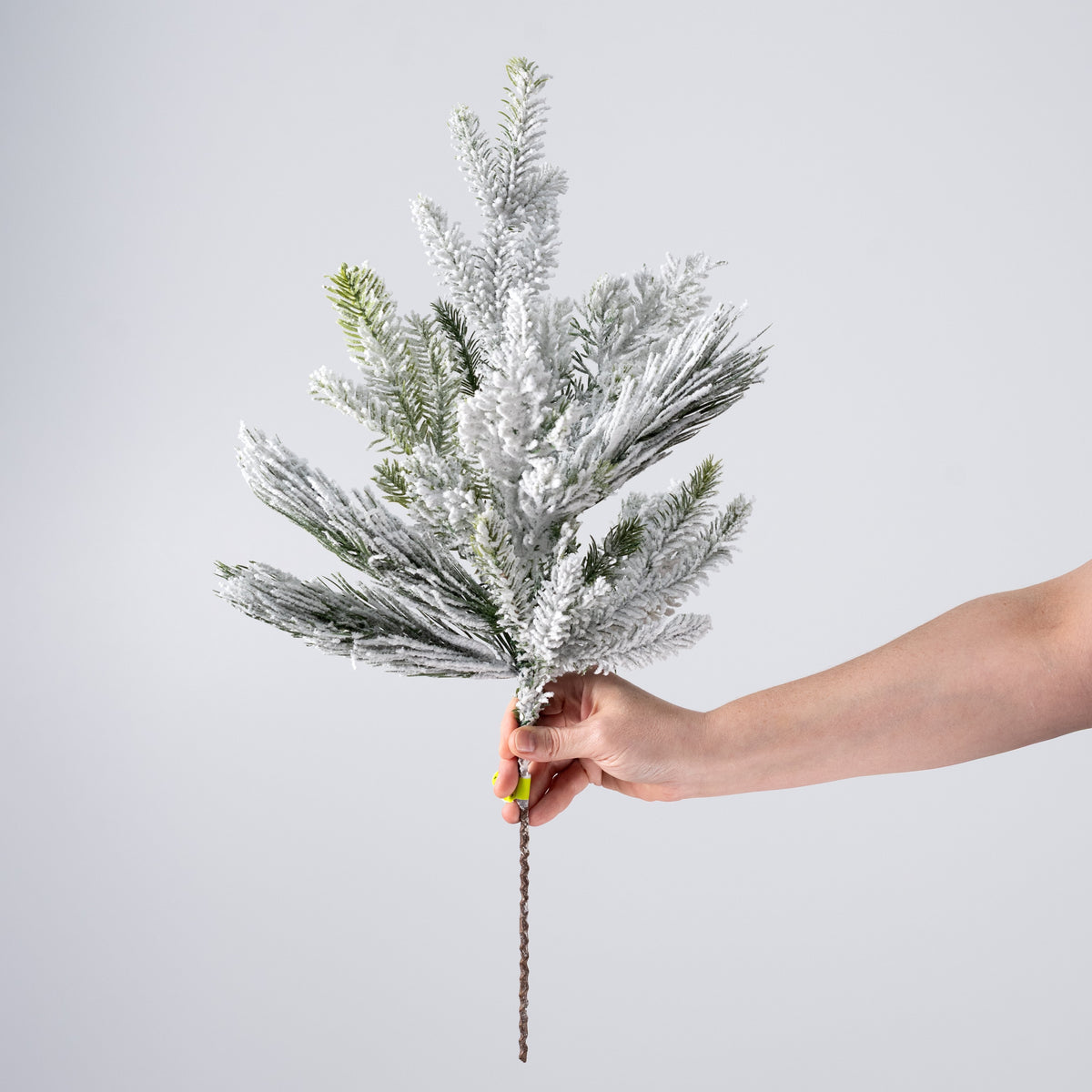 24" Swiss Pine Spray: Flocked Evergreen (9 Tips) detail photo 3