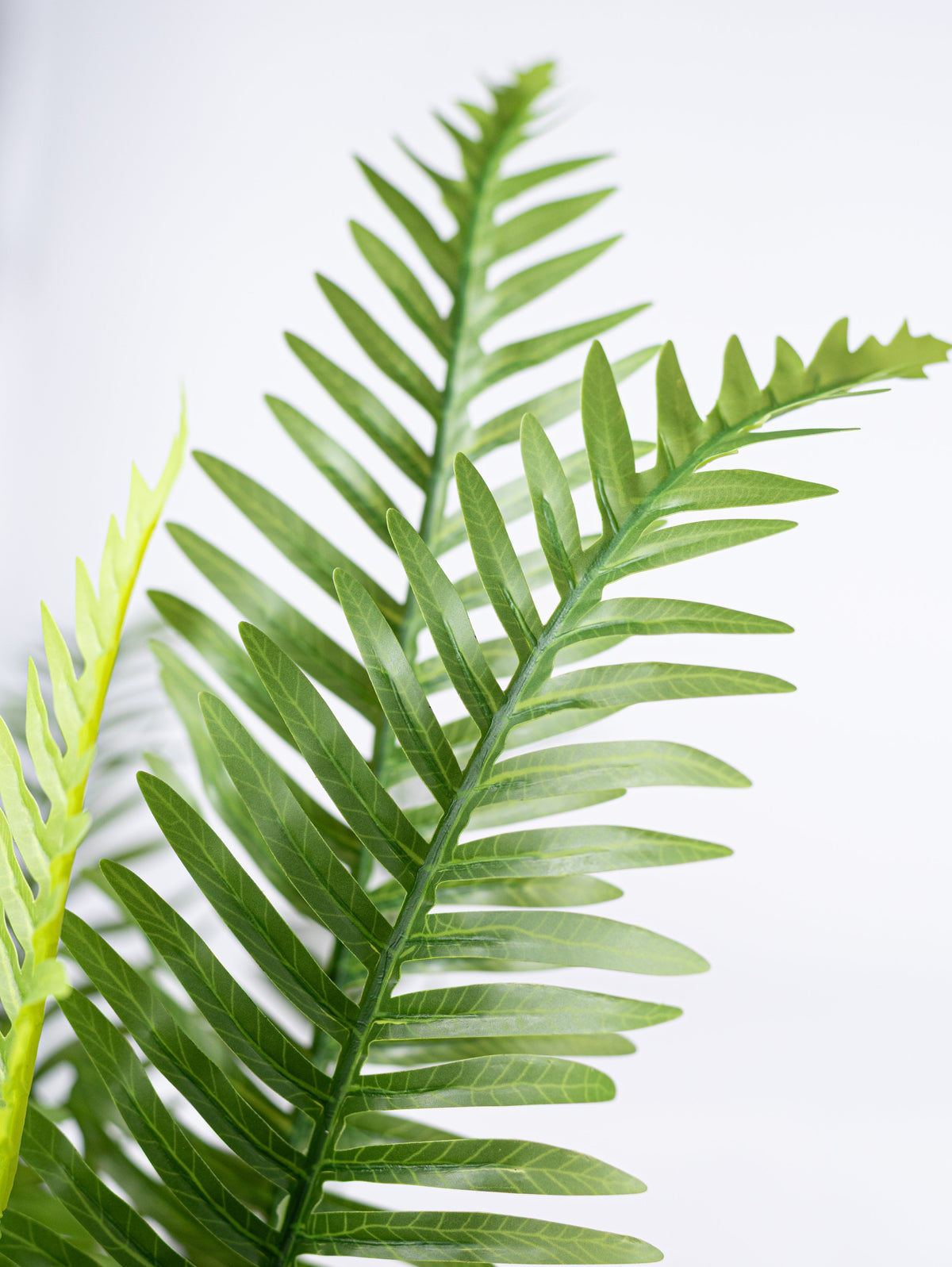 25" Faux Fern Bush: Green (5 Stem) detail photo 3