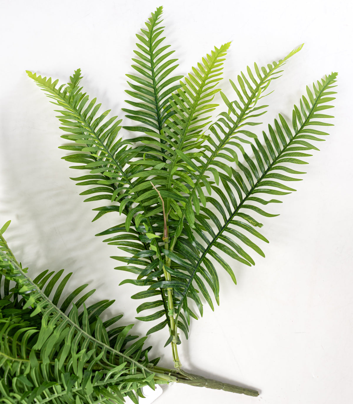 25" Faux Fern Bush: Green (5 Stem) detail photo 5