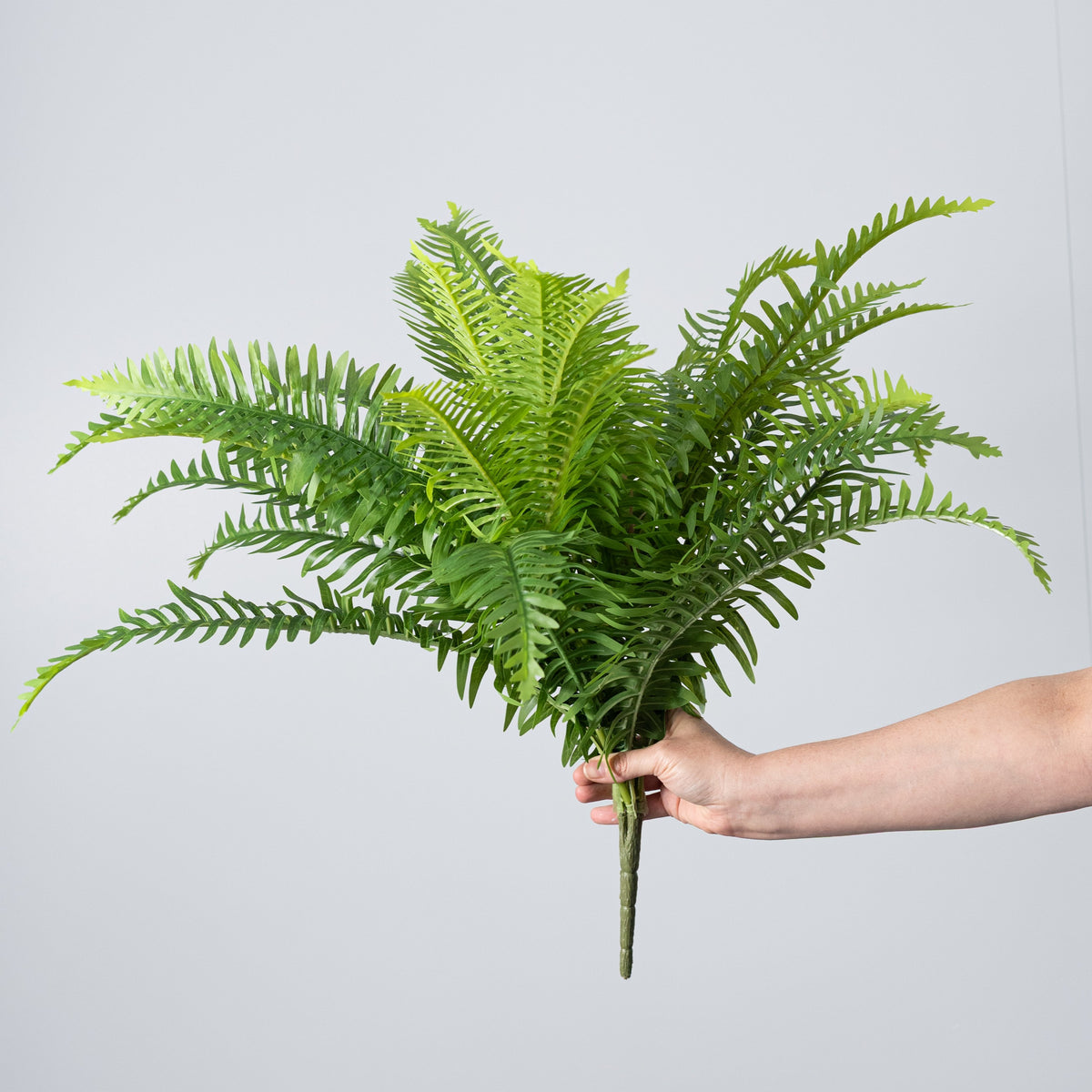 25" Faux Fern Bush: Green (5 Stem) detail photo 6