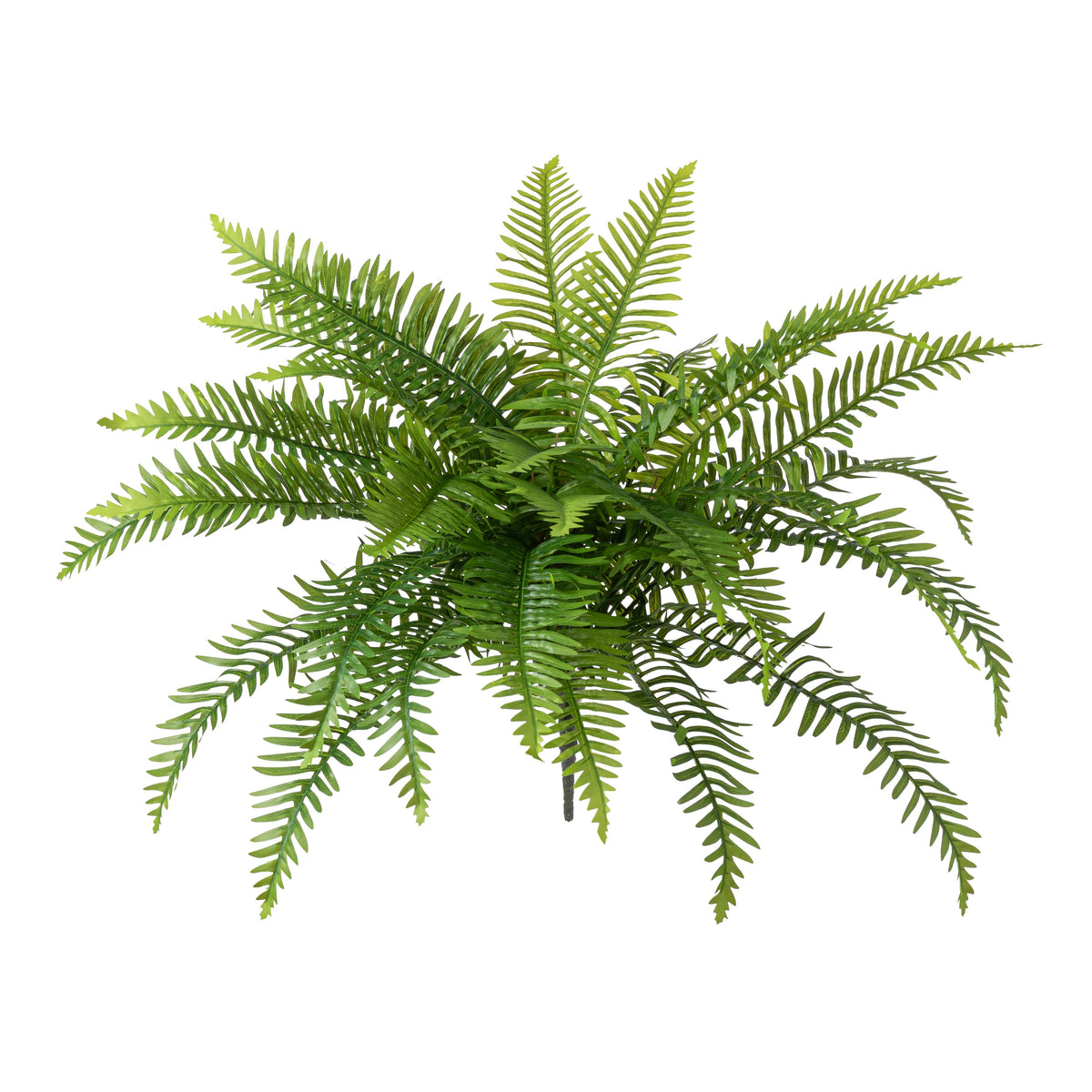 25" Faux Fern Bush: Green (5 Stem) Item Number: FG694809