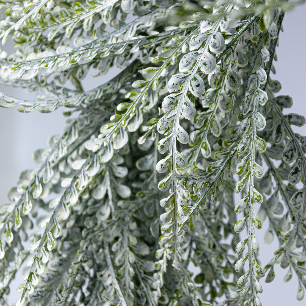 26" x 17" Draping Button Fern Wreath: White Wash detail photo 3
