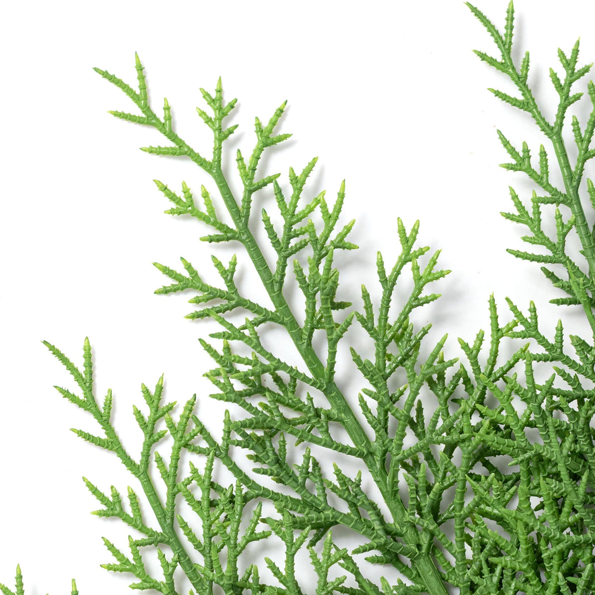 26" Evergreen Cedar Spray: Green Lifestyle Photo