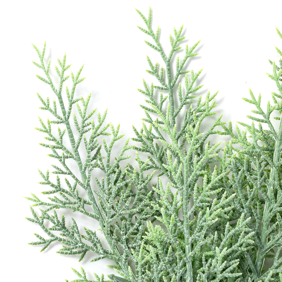 26" Evergreen Cedar Spray: Powdered Green Lifestyle Photo