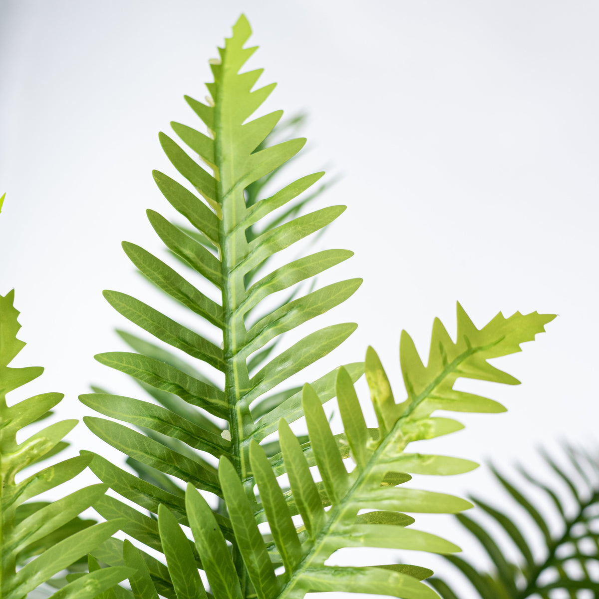 29" Faux Fern Bush: Green (6 Stem) detail photo 3