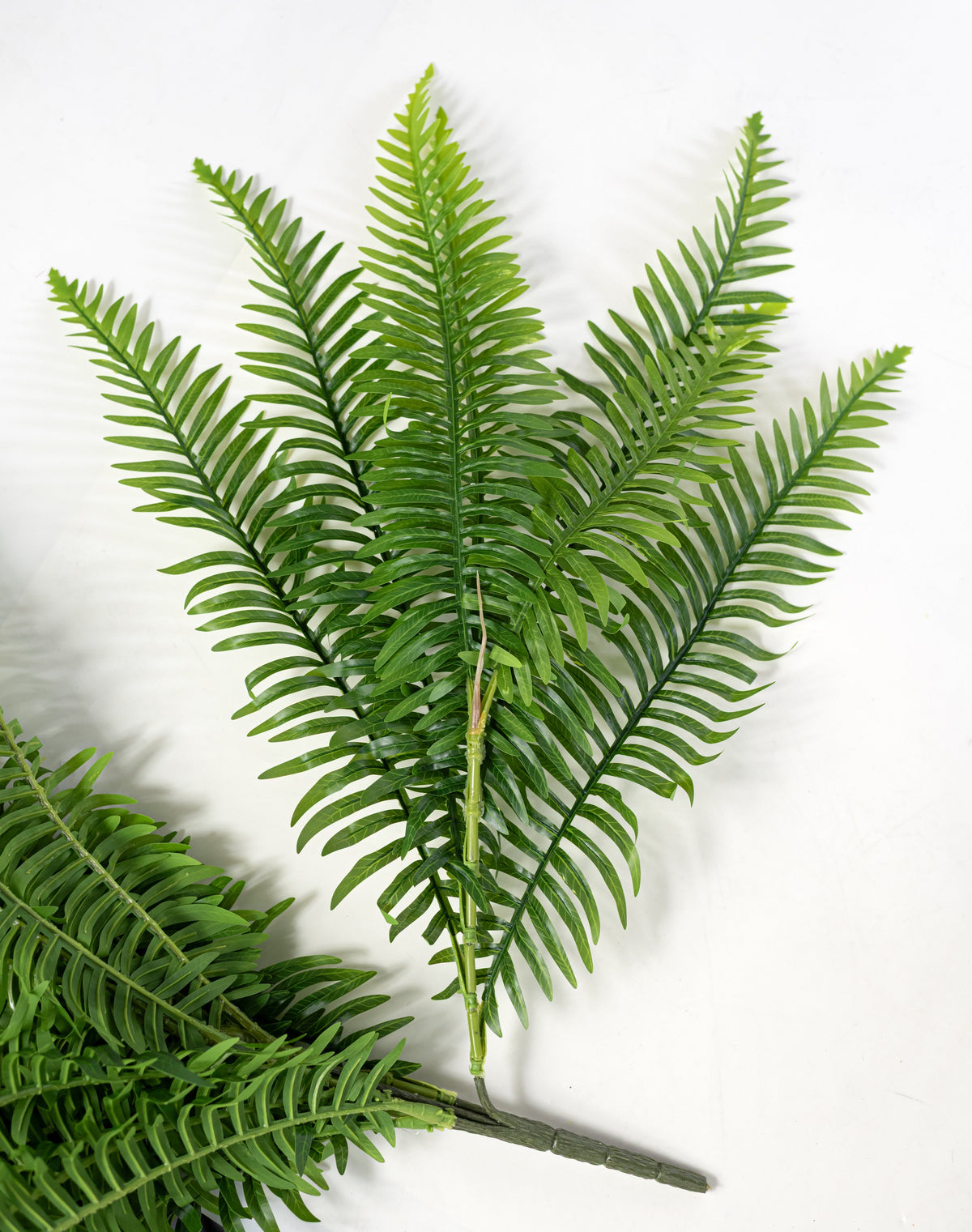 29" Faux Fern Bush: Green (6 Stem) detail photo 5