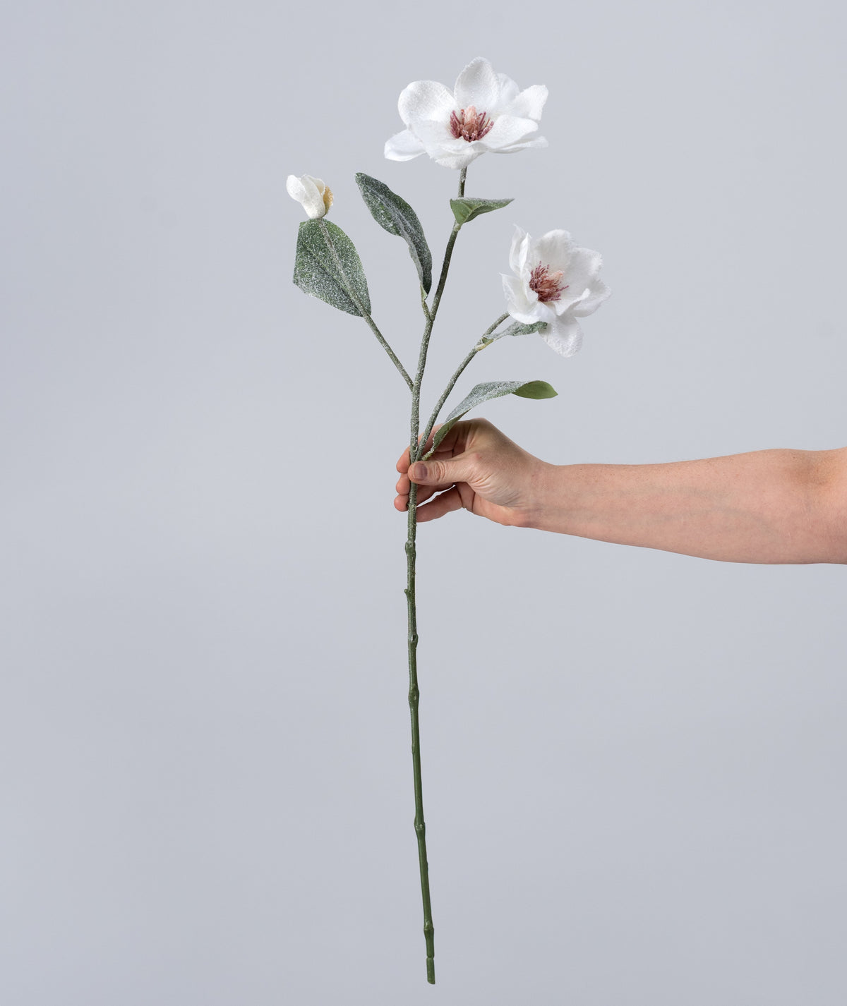 30" Frosted Magnolia Flower Spray: Snow White detail photo 3