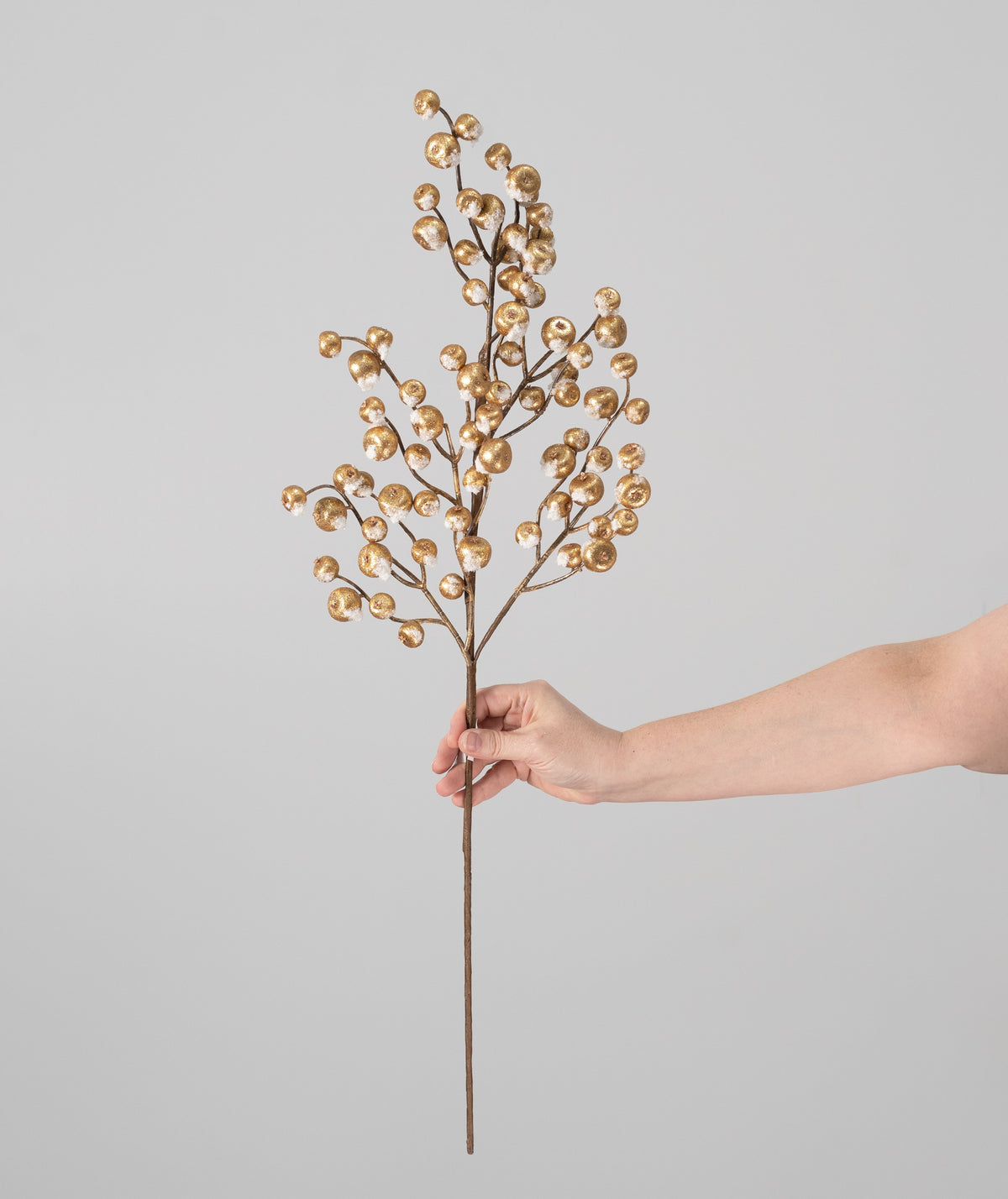 30" Mini Crabapple Spray: Frosted Gold detail photo 3