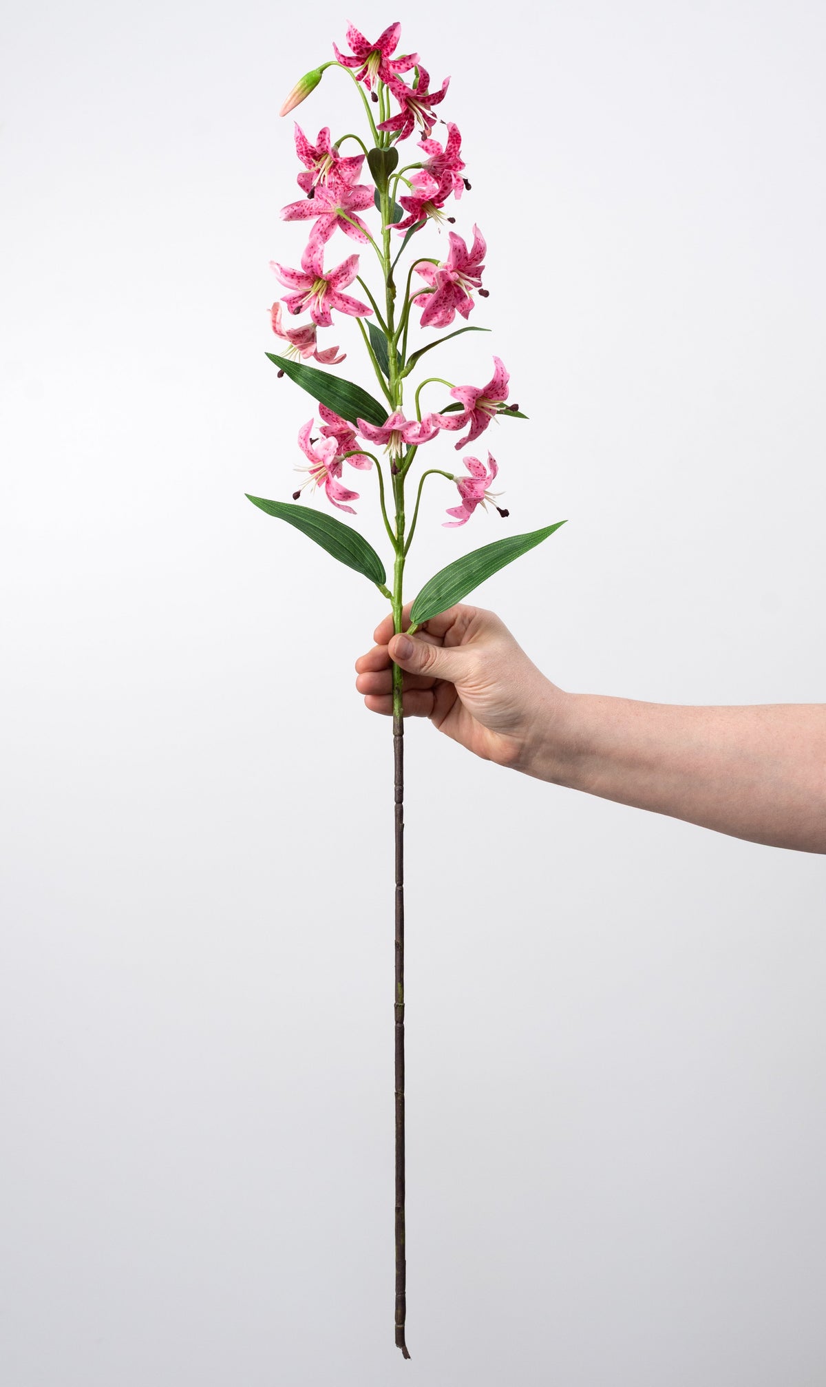 32" Cap Lily Stem: Fuchsia Pink detail photo 3