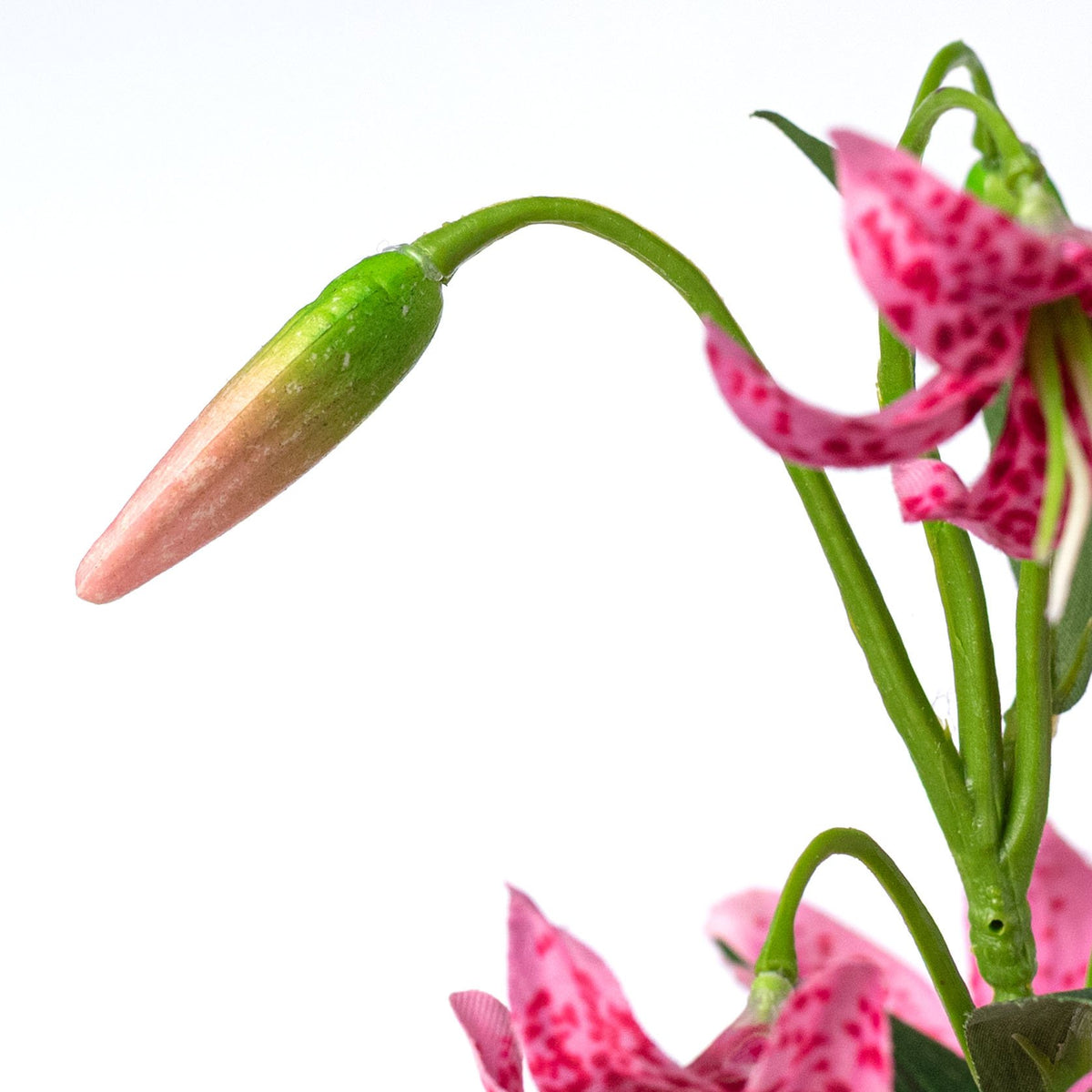 32" Cap Lily Stem: Fuchsia Pink detail photo 4