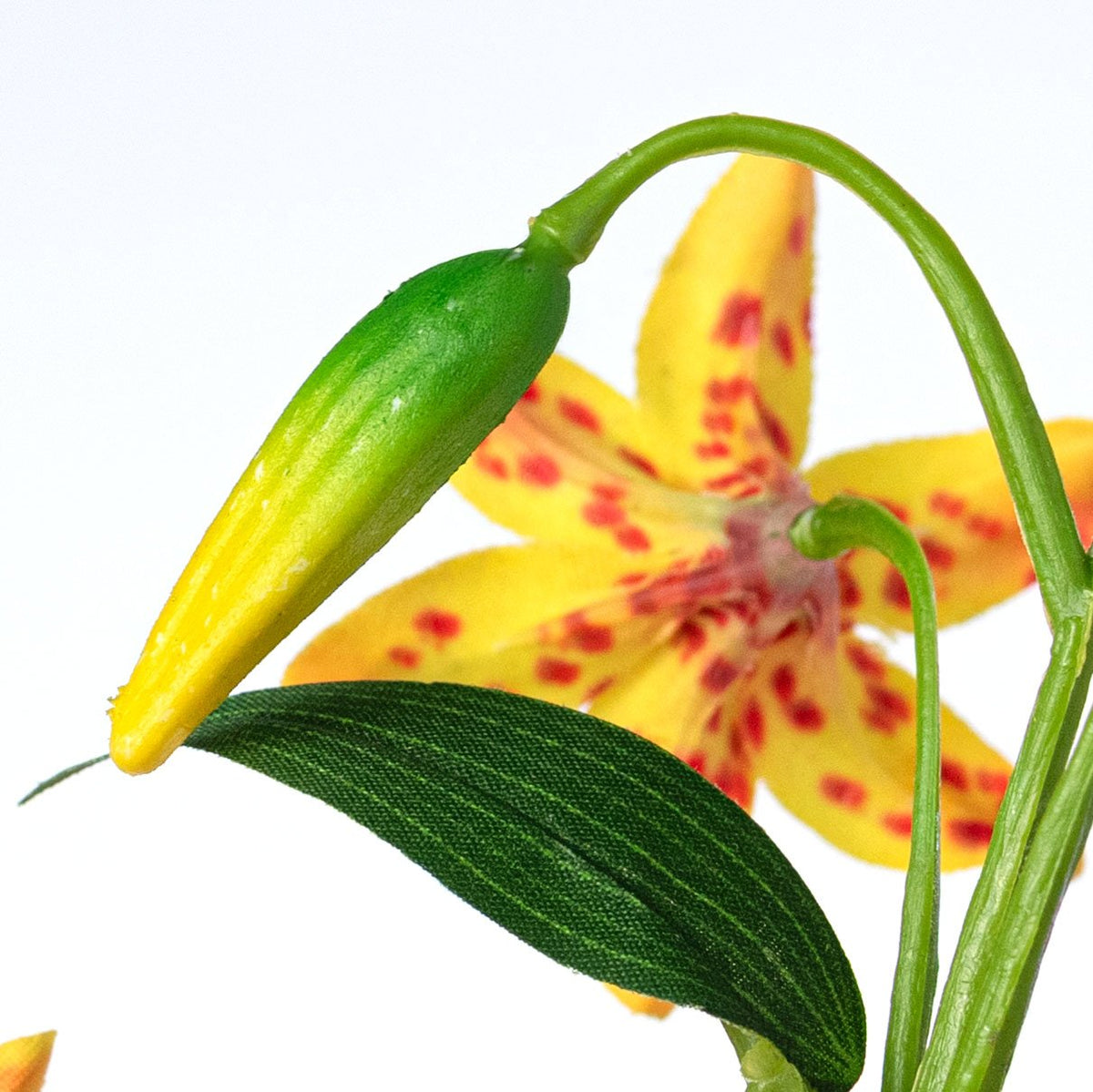 32" Cap Lily Stem: Golden Yellow detail photo 4