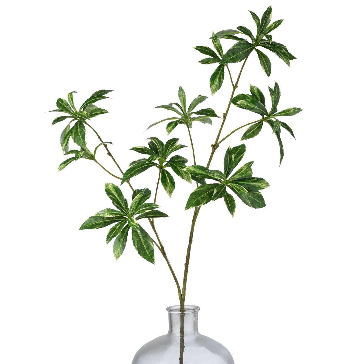 33" Schefflera Leaf Spray: Variegated Green Item Number: FG676190