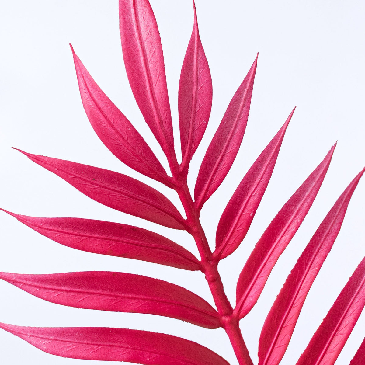 34" Plastic Palm Leaf Spray: Hot Pink Lifestyle Photo