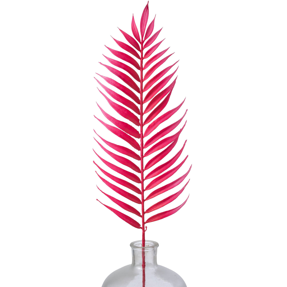 34" Plastic Palm Leaf Spray: Hot Pink Item Number: 64006PK
