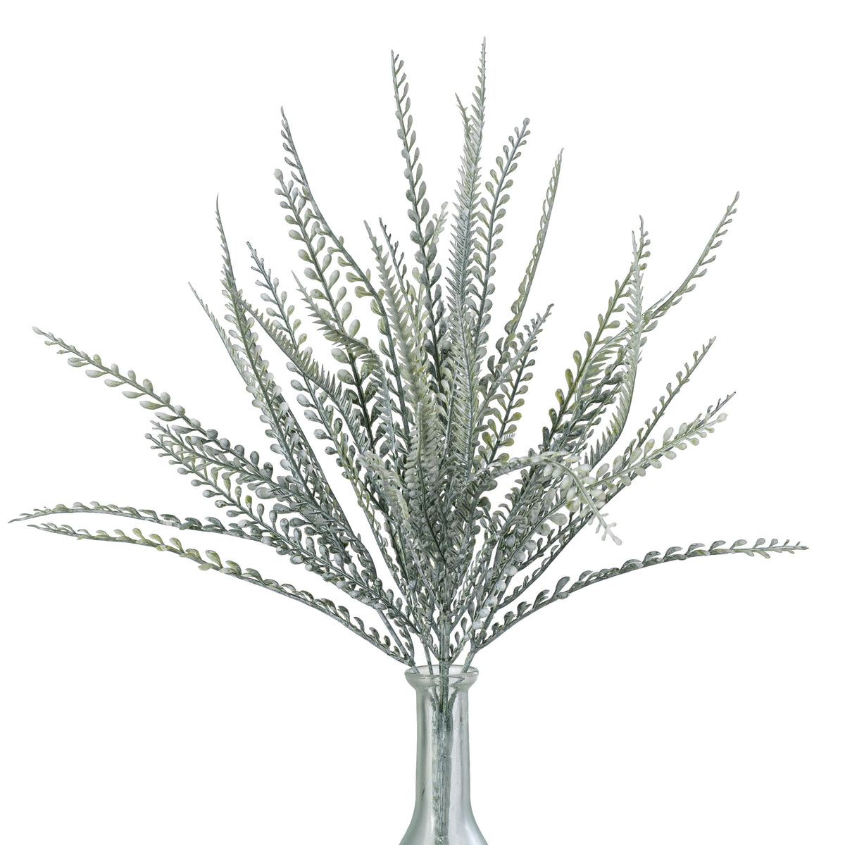 17" Button Sword Fern Bush: White Wash Green