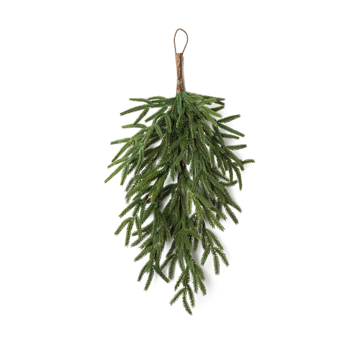 28" Norfolk Island Pine Teardrop