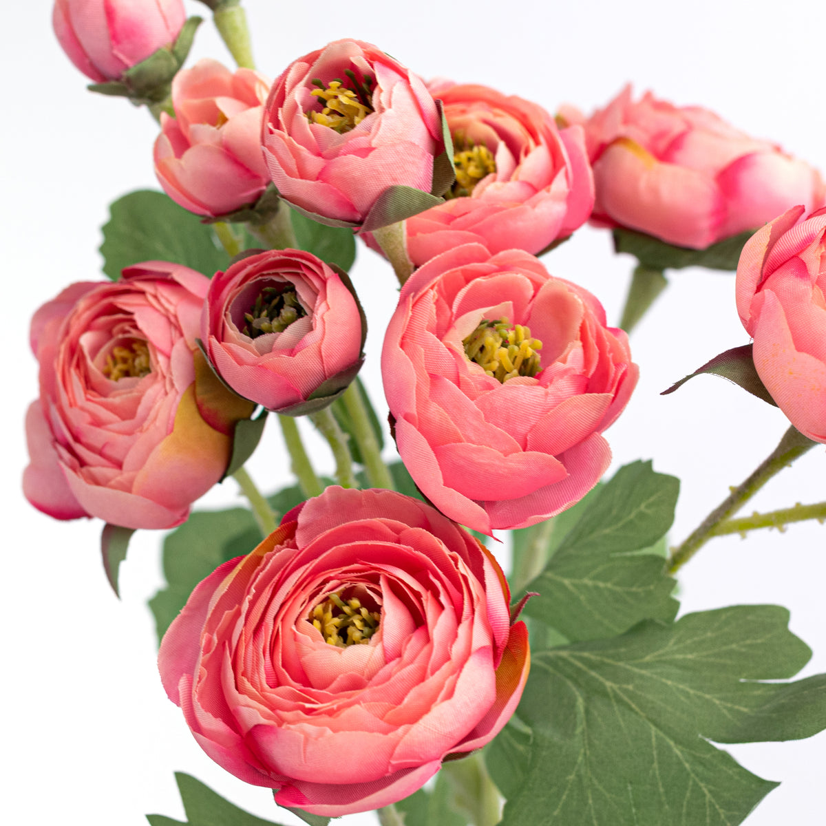 21" Ranunculus Spray: Coral Pink