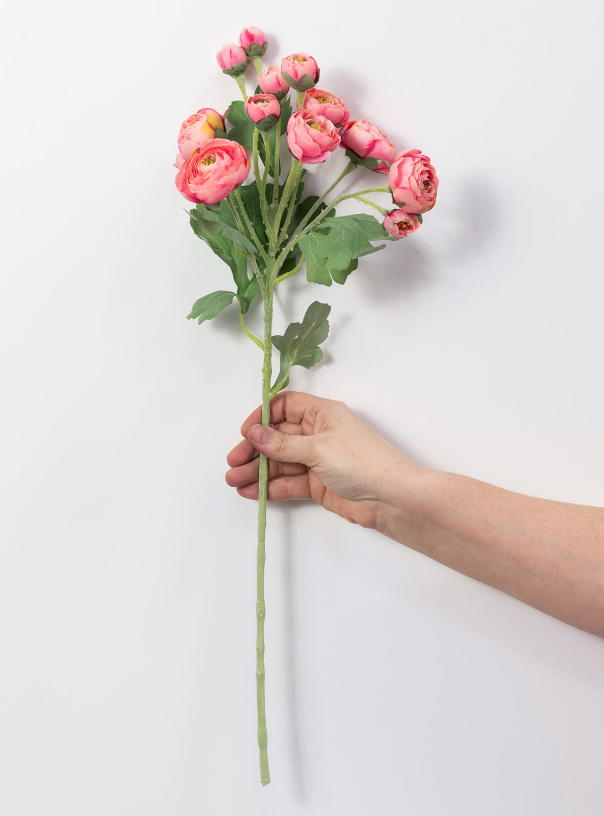 21" Ranunculus Spray: Coral Pink