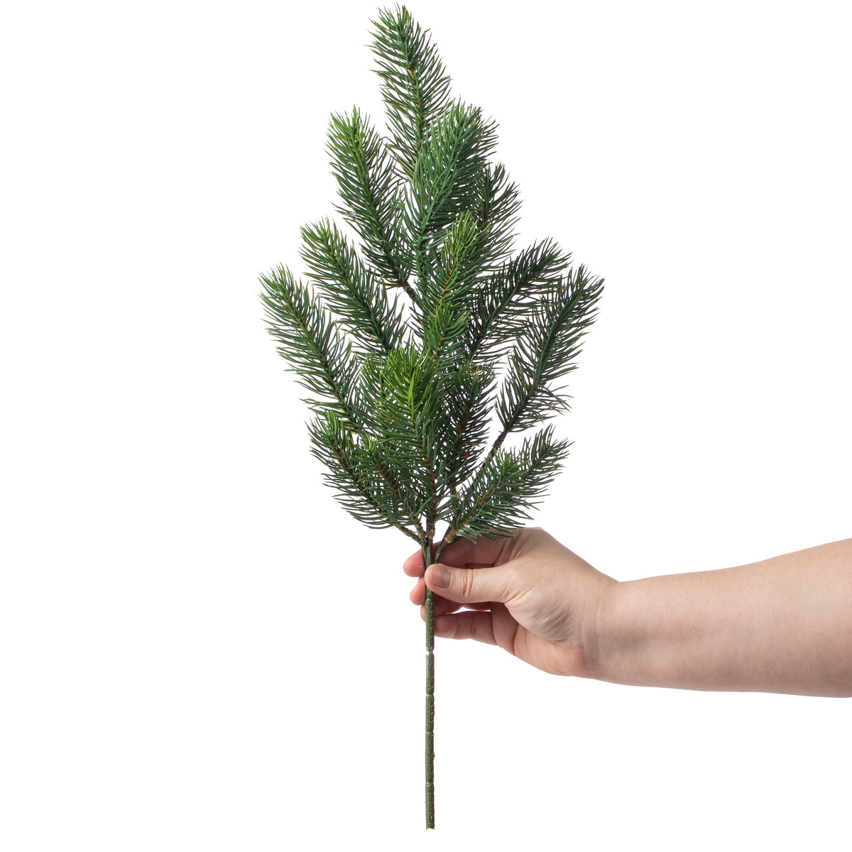 20" Alpine Spray: Evergreen Lifestyle Photo