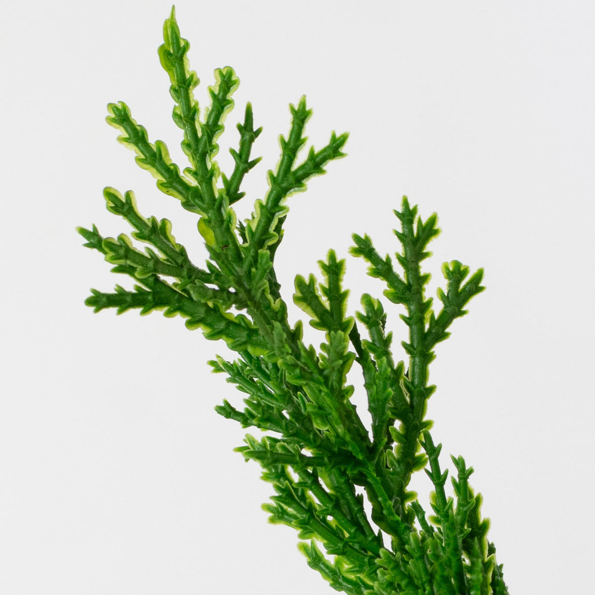 12" Artificial Juniper Pick Lifestyle Photo