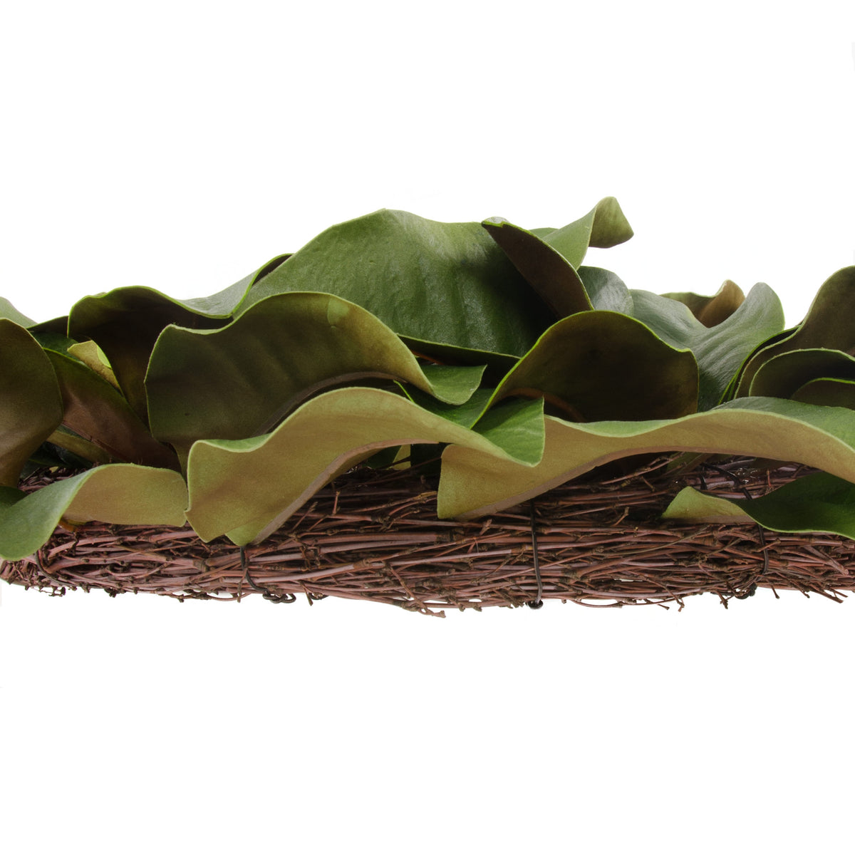 26" Artificial Magnolia Leaf Wreath: Realistic Green detail photo 3