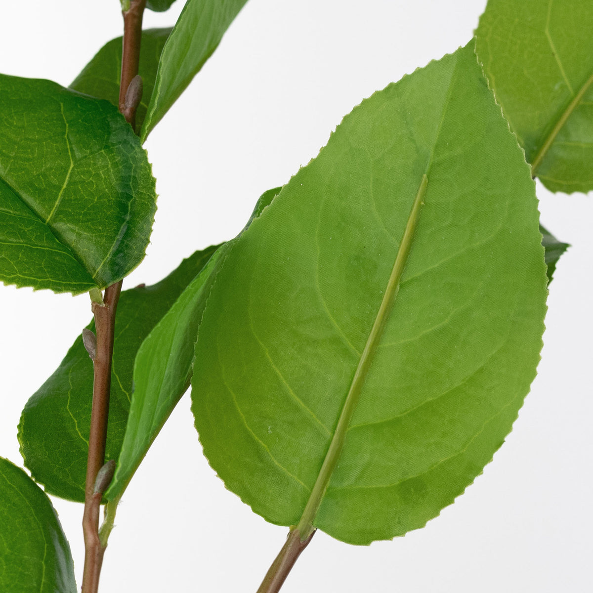 45" Artificial Salal Leaves (Lemon Leaf) Spray detail photo 4