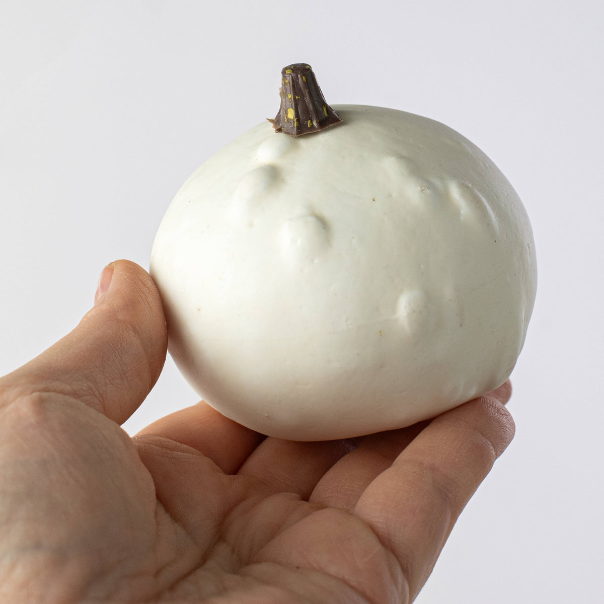 Assorted Mini Artificial Pumpkins & Gourds: White / Cream (Bag of 12) detail photo 3