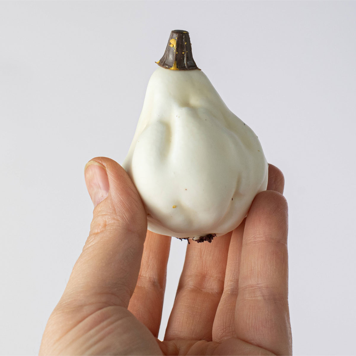 Assorted Mini Artificial Pumpkins & Gourds: White / Cream (Bag of 12) detail photo 5