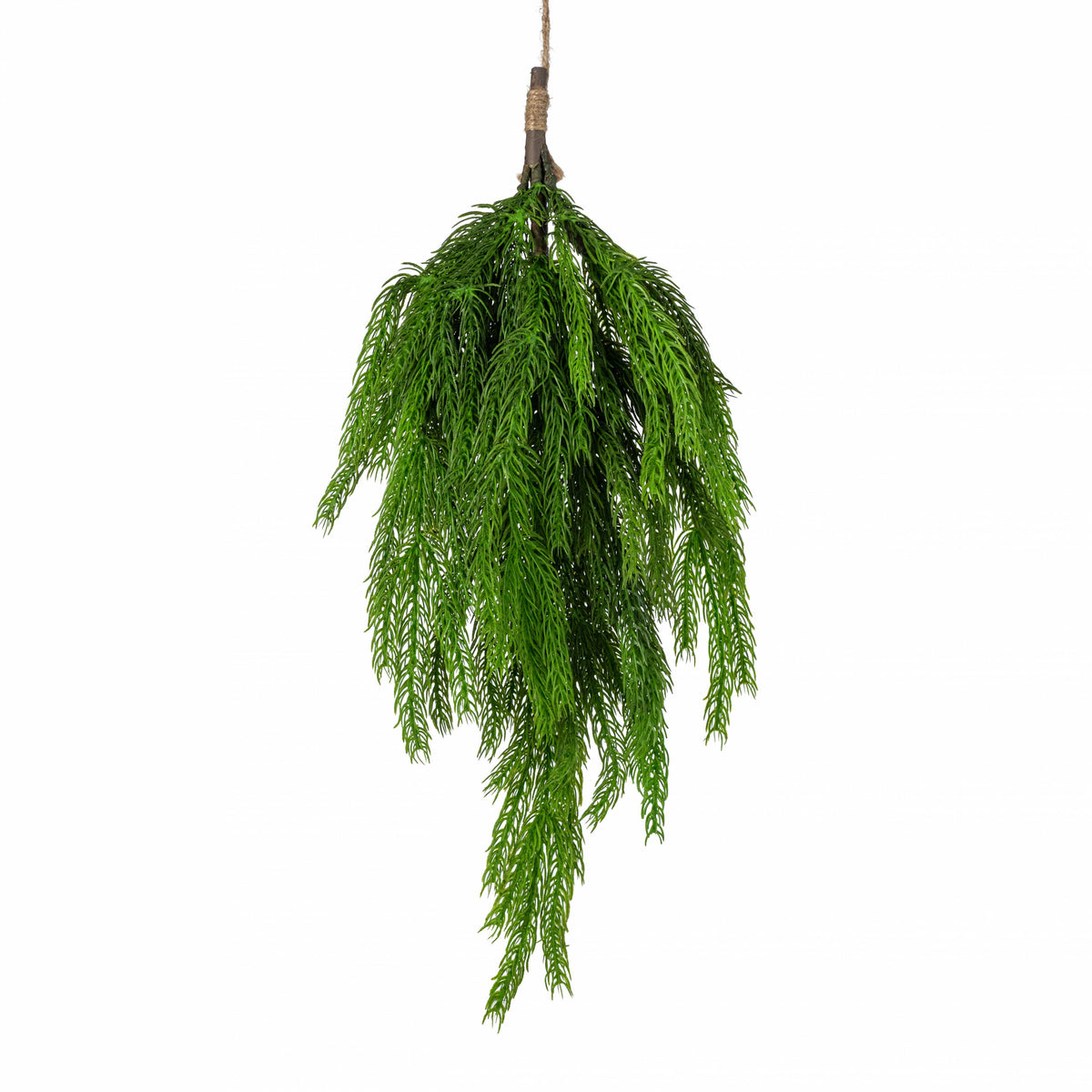 26" Sitka Spruce Teardrop: Green