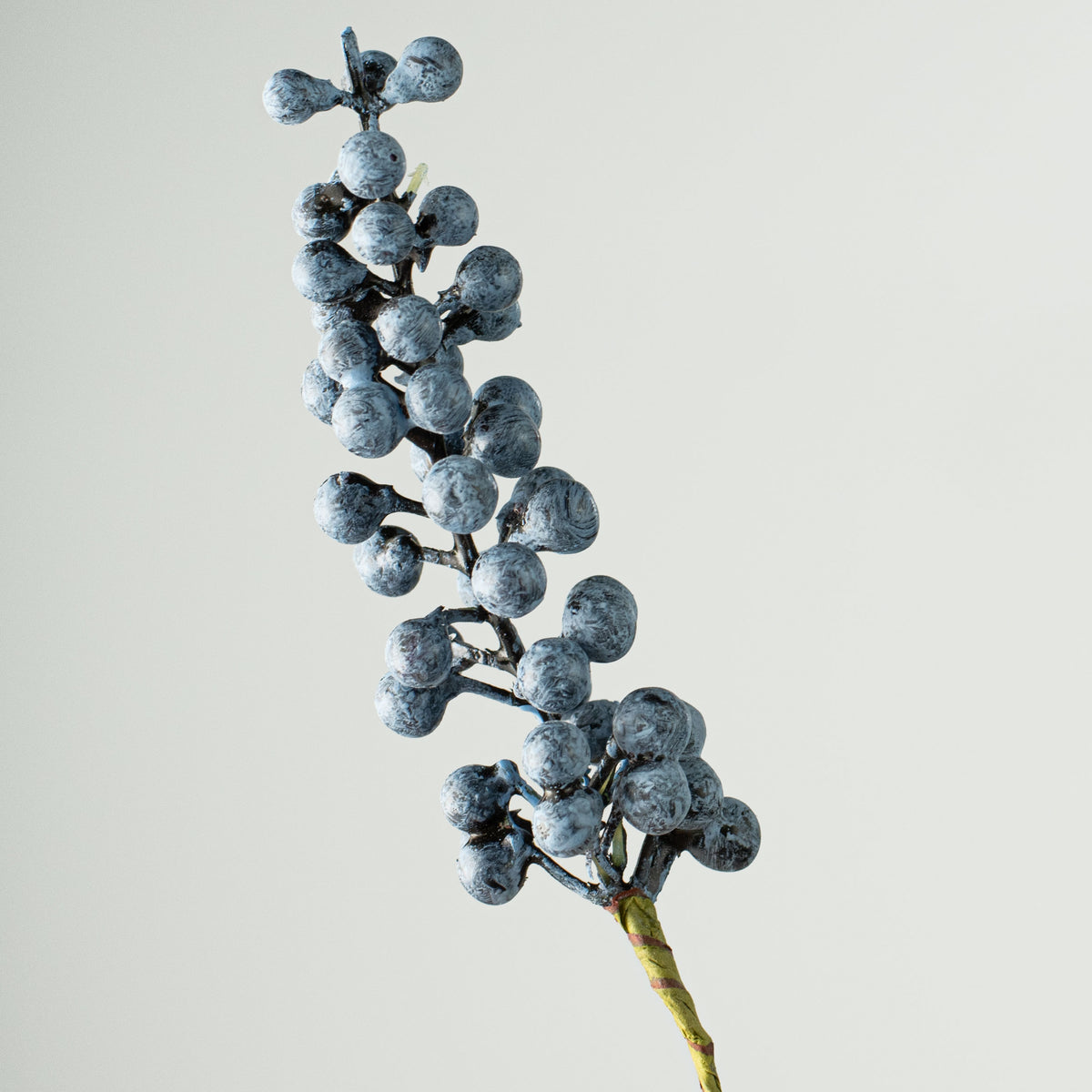 8.5'' Berry Bundle: Blue (12) Lifestyle Photo
